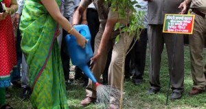 मानव संस्कृति और मानव जीवन के विकास उन्नयन    में पर्यावरण का सबसे महत्वपूर्ण योगदान- अपर्णा