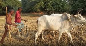 मुख्यमंत्री की  पहल से बांदा के  निःशक्त किसान को भारी राहत मिली, 5 लाख रु0 की आर्थिक सहायता की घोषणा