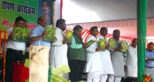 पेड़ लगेगा तो धरती सुरक्षित रहेगी—- मुख्यमंत्री