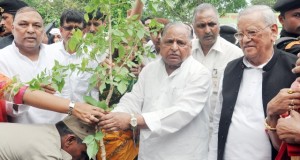 अब चापलूसों की राजनीति हो गयी है: मुलायम
