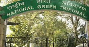 Delhi में नहीं चलेंगे 10 साल पुराने डीजल वाहन, सुस्‍त रवैये पर केंद्र और राज्‍य सरकार को NGT की फटकार