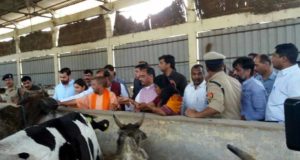 मुख्यमंत्री ने कान्हा उपवन गौशाला का निरीक्षण किया