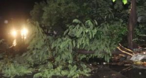 यूपी में आंधी-तूफान से मरने वालों का आंकड़ा पहुंचा 64, अकेले आगरा में ही 43 मौतें