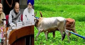 मोदी सरकार ने खरीफ फसलों का न्यूनतम समर्थन मूल्य बढ़ाया, किसानों को बड़ा तोहफा