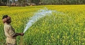 New Year Gift: समय पर कर्ज चुकाने वाले किसानों का ब्याज हो सकता है माफ