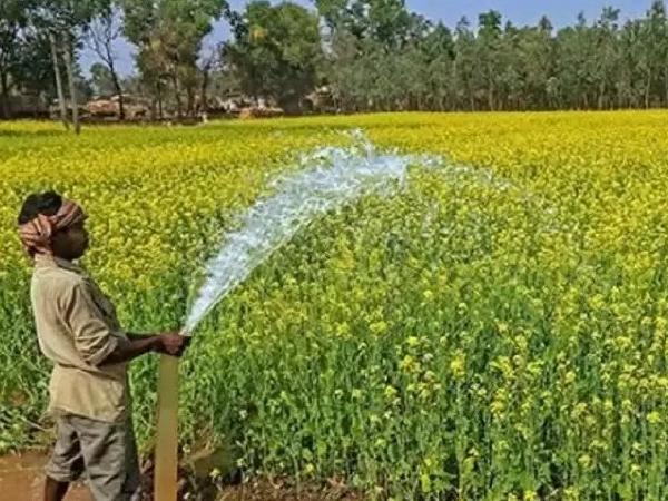 1545997499-farmer_crop