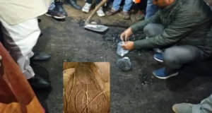 बिजनौर में सवा करोड़ से बनी सड़क उद्घाटन पर नारियल पटकने से टूटी,  गुणवत्ता को लेकर विधायक धरने पर